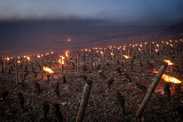 Où découvrir les traditions viticoles de la région de Tokaj, Hongrie : visites de caves et dégustations ?